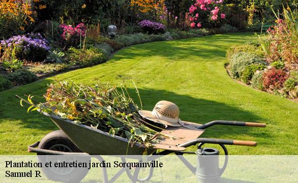 Plantation et entretien jardin  sorquainville-76540 Samuel R